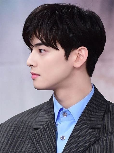 cha eun woo dior|cha eun woo side profile.